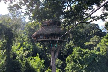 Baumhaus Nr. 7 bei Gibbon Experience in Laos