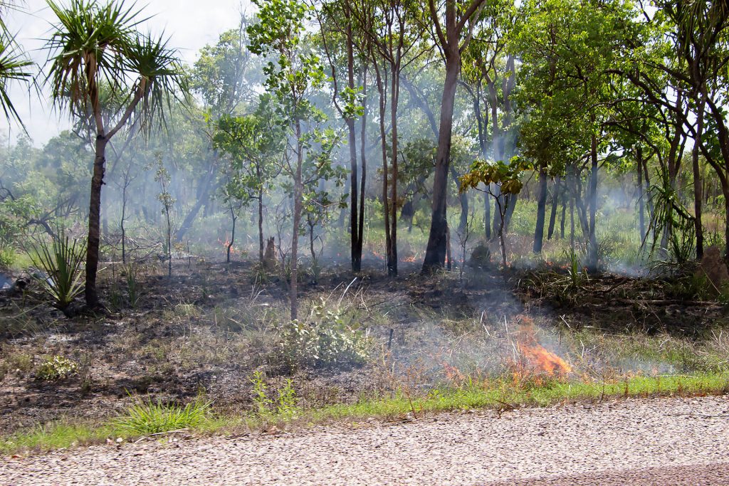 Buschfeuer im Kakadu Nationalpark
