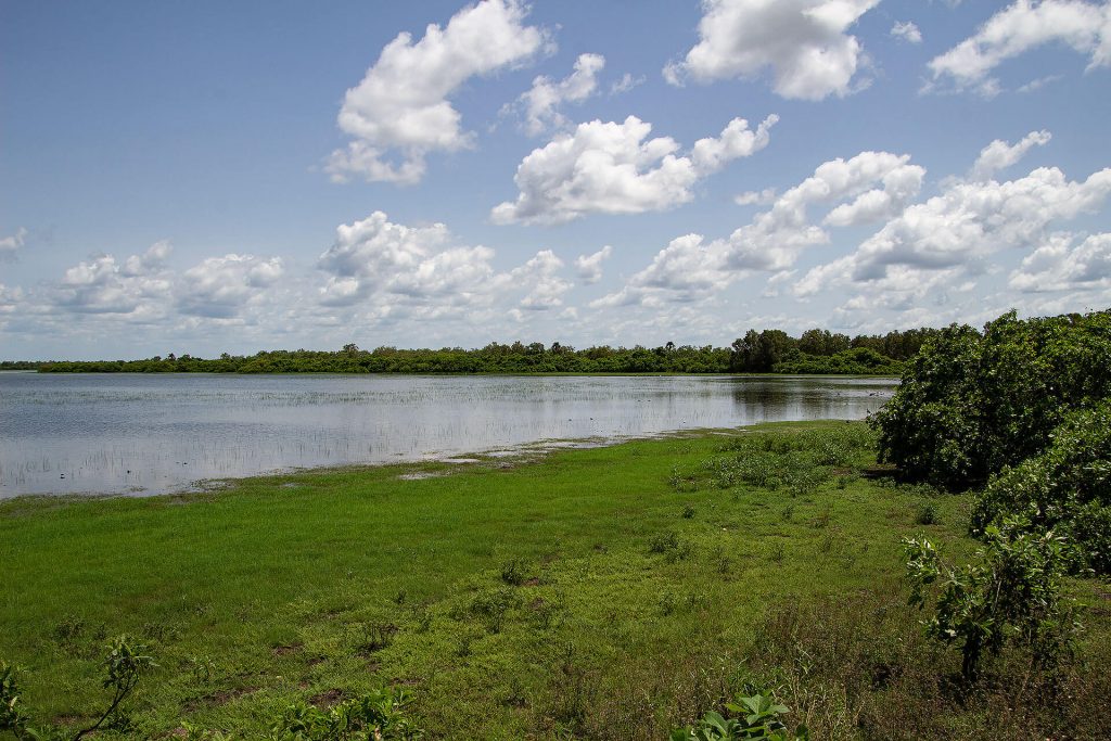 Mamukala Wetlands im Kakadu Nationalpark