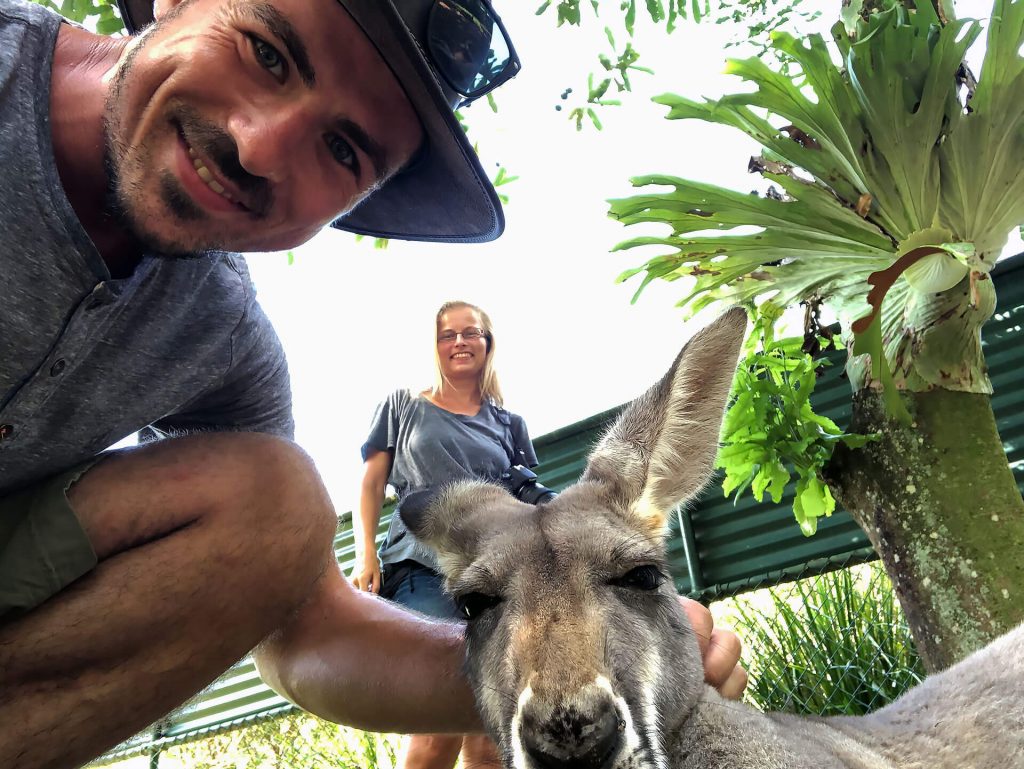 Selfie mit Känguru
