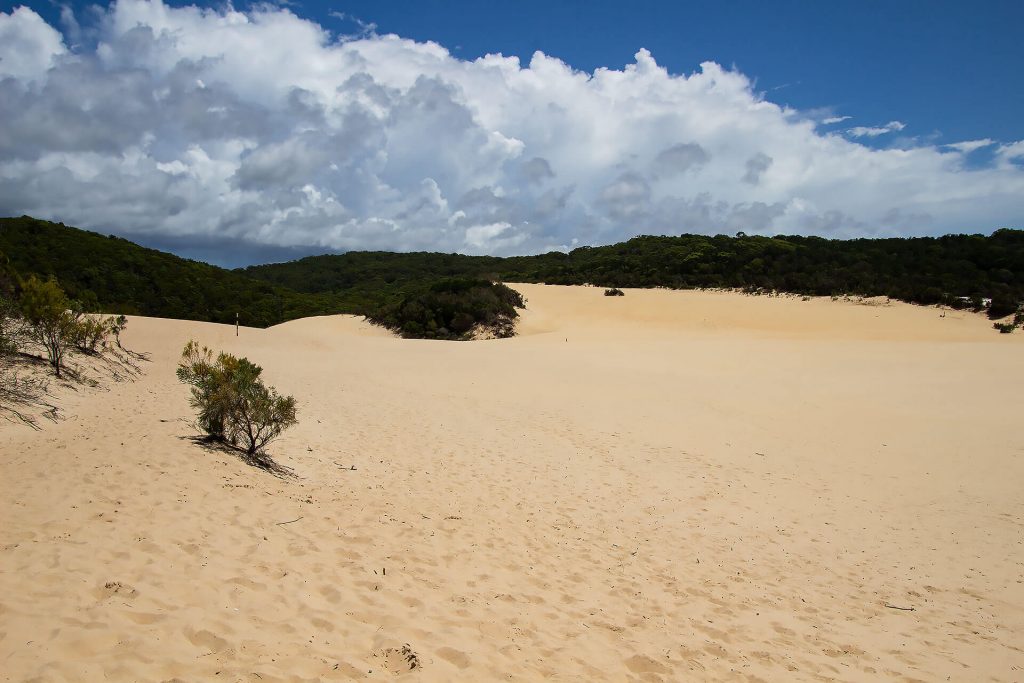 Sanddüne auf Fraser Island