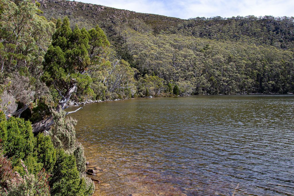 Lake Dobson in Tasmanien